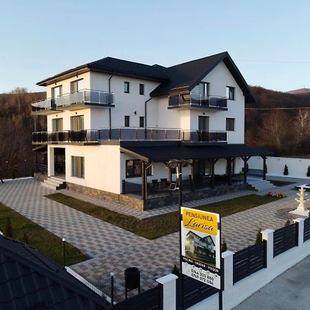 Casa De Vacanta Larisa Novaci-Străini Eksteriør bilde