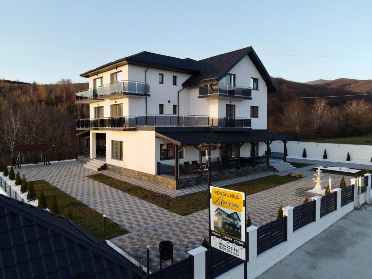 Casa De Vacanta Larisa Novaci-Străini Eksteriør bilde