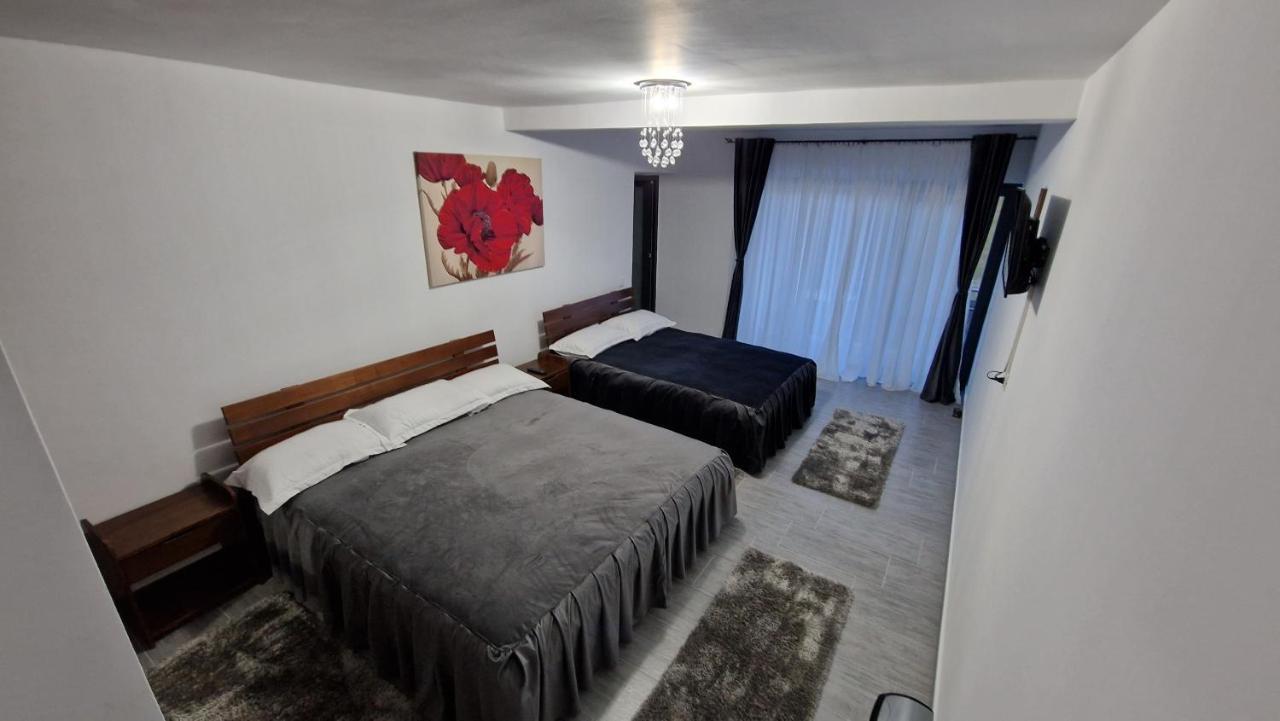 Casa De Vacanta Larisa Novaci-Străini Eksteriør bilde