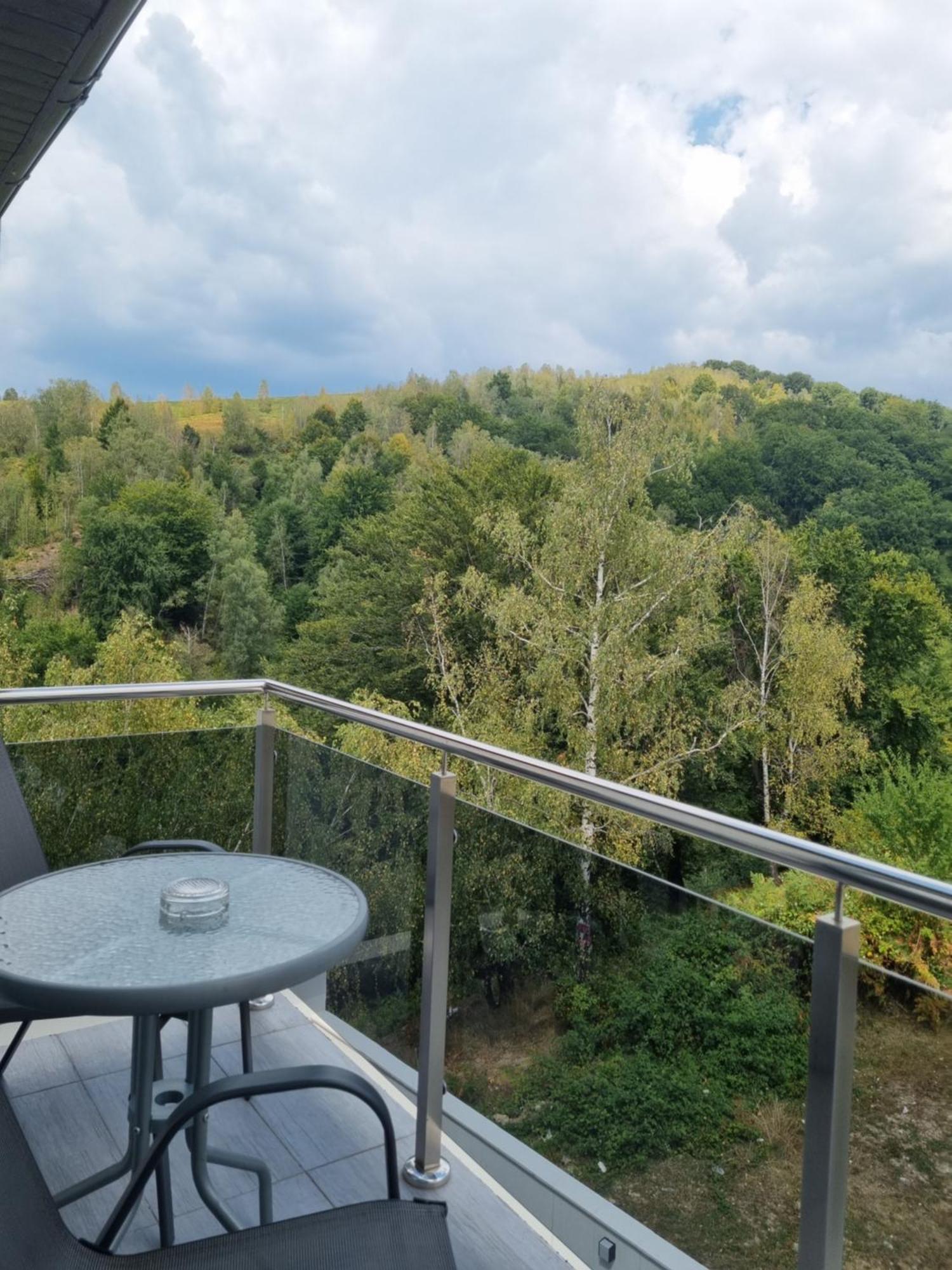 Casa De Vacanta Larisa Novaci-Străini Rom bilde